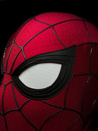 BNDSM Mask with Full Head Shell and Lenses - Wearable Movie Prop Replica (Adult) NB Design
